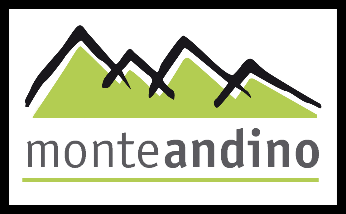 Monteandino logo